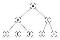 Lowest common ancestor - PEGWiki